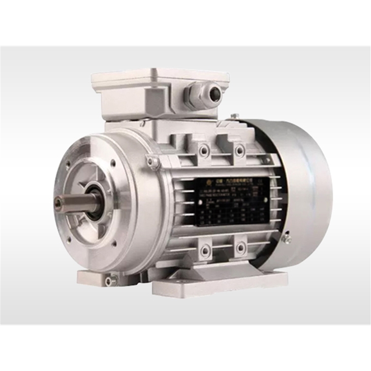 YE3 series aluminum motor