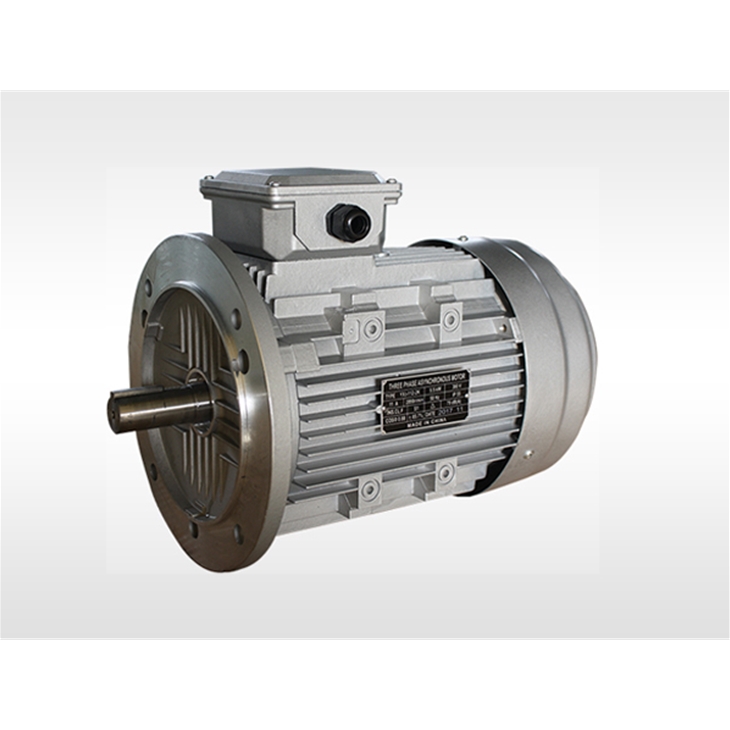 YE3 series aluminum motor